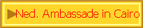 Ned. Ambassade in Cairo